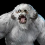 Unit-Character-Wampa-portrait.png