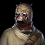 Unit-Character-Tusken Raider-portrait.png