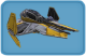 Shard-Ship-Anakin's Eta-2 Starfighter.png