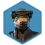 Shard-Character-Boushh (Leia Organa).png