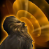 Tex.ability chewbacca special01.png