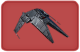 Shard-Ship-Scythe.png